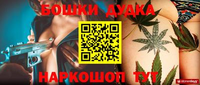 спиды Камышлов
