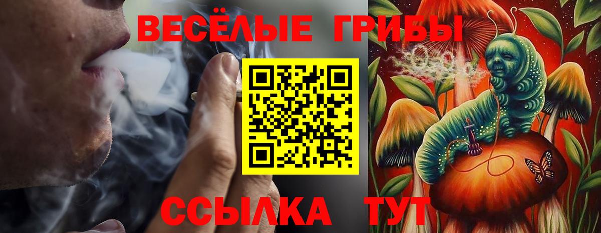 Галлюциногенные грибы ЛСД  Вход с VPN  Галлюциногенные грибы мухоморы  Маркс 