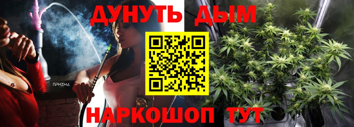 Каннабис план  Вход с VPN  Маркс  Бошки Шишки семена  Шишки марихуана план 